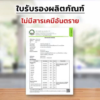 [พร้อมส่ง ของแท้] เจลกำจัดมด สูตรใส ไร้กลิ่น เห็นผลไว ฆ่ามดยกรัง ใช้ง่าย ปลอดภัย ไม่ต้องฉีด