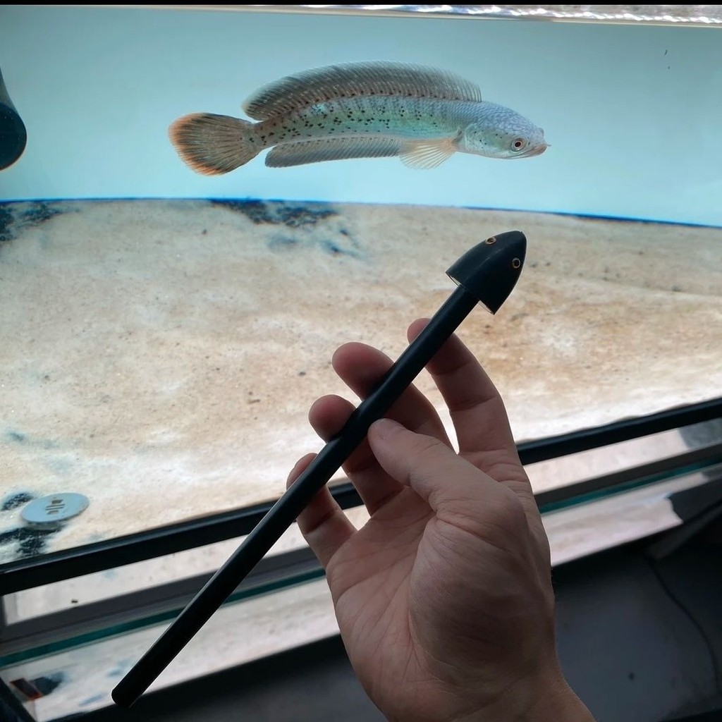 Brontosaurus Teasing Fish Stick Big Eye Brontosaurus Fish Training Dedicated Anchor Fish Training Sa