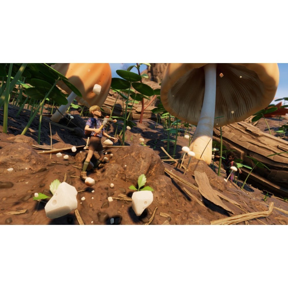 Thumbnail 3