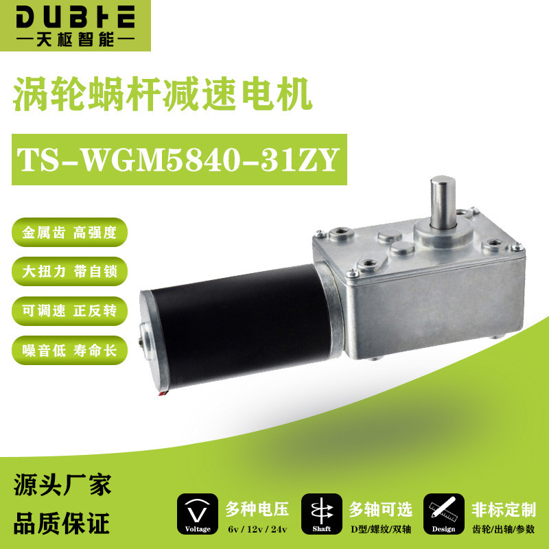 5840-31ZY Turbo Snail Gear Motor 12v24 Speed Regulating Self-Locking Gear แรงบิดขนาดใหญ่ Dual-Axis M