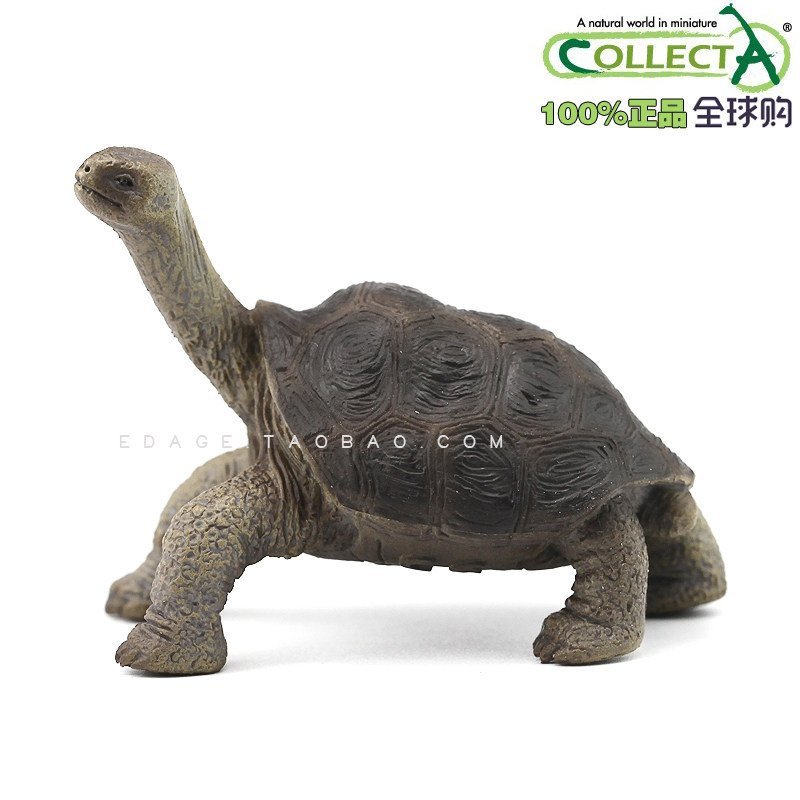 สินค้าใหม่ UK CollitA Me You He Simulation Wildlife 88619 Galapagos Elephant Turtle Pingta Island El
