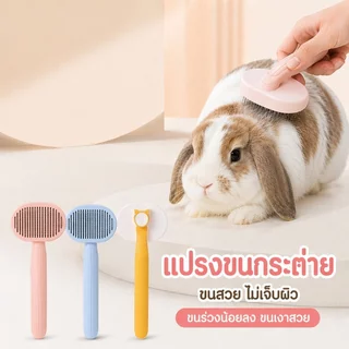 หวีกระต่าย แปรงขนสัตว์เลี้ยง ปุ่มดันขนออกเอง หวีเก็บขน หวีขนร่วง หวีนวดผิว สำหรับกระต่าย แมว