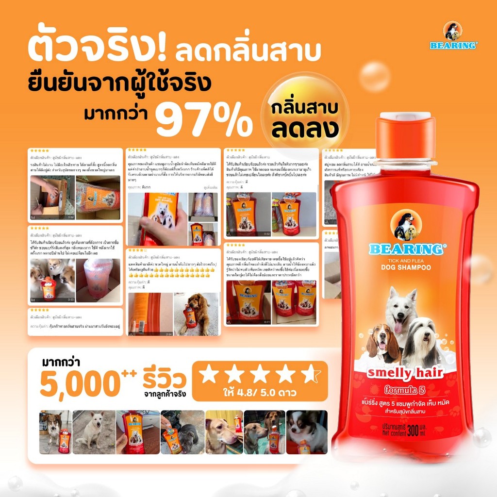 BEARING Tick & Flea Dog Shampoo แชมพูกำจัดเห็บหมัด 300ml. รูปที่ 2