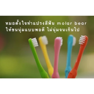 Mall Molar bear แปรงสีฟันเด็ก คละแบบ เลือกสีได้ ฟันซี่แรกใช้ โมล่าร์แบร์