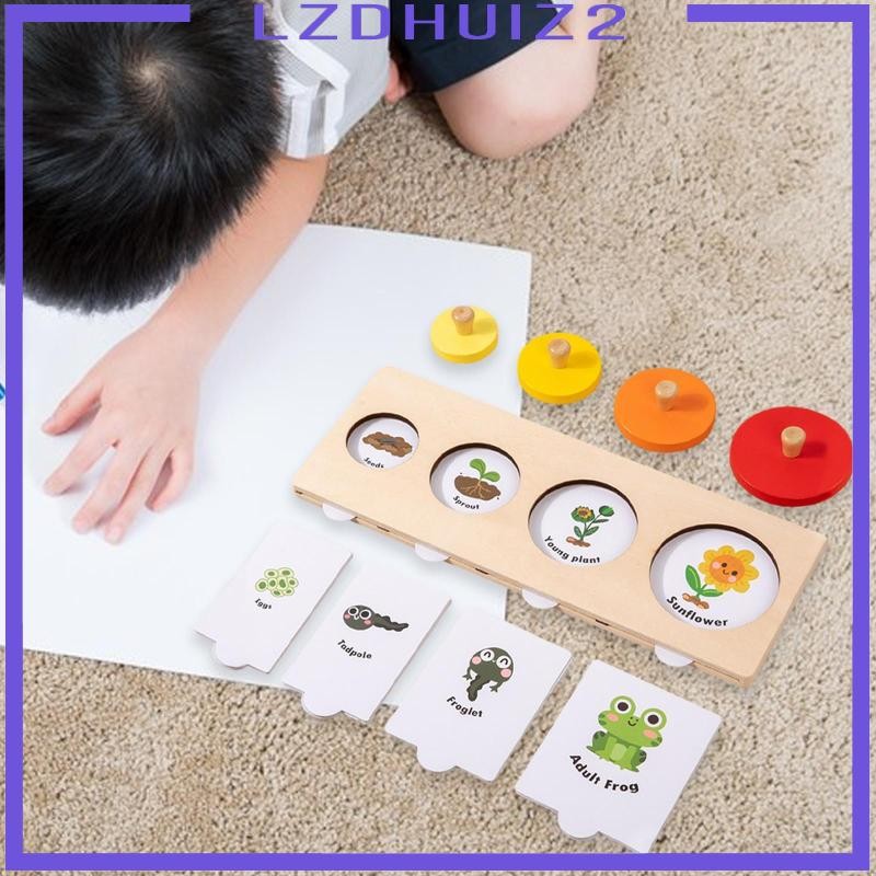 [Lzdhuiz2] Life Cycle Puzzle Animal Growth Cycle Puzzle ปริศนาจิ๊กซอว์การ์ตูนสําหรับเด็ก