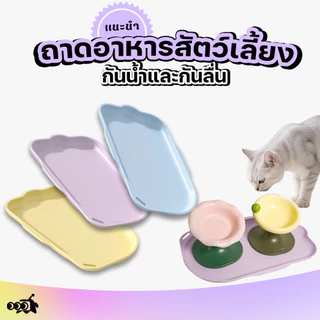 🔔จานอาหารแมวกินไม่หก ทำความสะอาดง่าย😻 | กันน้ำ+ป้องกันอาหารหก+เก็บรักษาได้นาน 😊