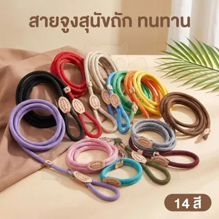 wen.W2 🐱🐶สายจูงสุนัขเกลียวหนา เล็ก-กลาง-ใหญ่ใช้ได้ คล้องง่าย แข็งแรงทนทาน