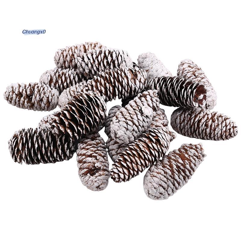 Chuangtfx0320 ชิ้น Pine Cones ตกแต่ง, ธรรมชาติ Snow Pine Cones กรวยขนาดใหญ่ Pine Cone เครื่องประดับ