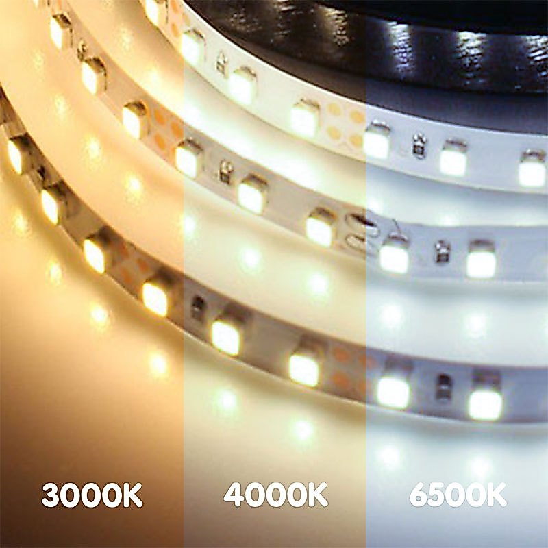 ไฟเส้น LED Ribbon Striplight 7.2w 12w มี 12v 24v (1 ม้วน ยาว 5 เมตร) แสง 3000K 4000K 6500K