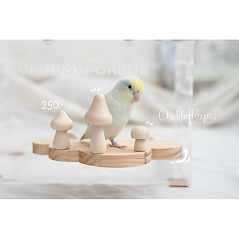 🤎พร้อมส่ง🤍 ของเล่นนก หนู ชูก้าไรเดอร์ ที่ยืนเมฆเห็ดสุดน่ารัก มี 2 ขนาด