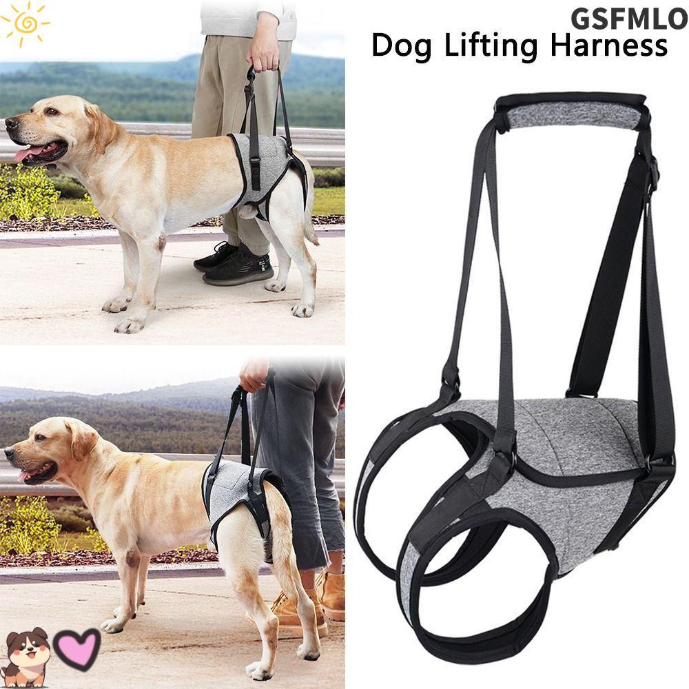 GSFMLO สุนัขยก Harness, Canine Aid Injured สุนัขสนับสนุน Harness, Ligament Rehabilitation ปรับกลับขา