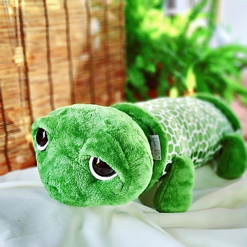 เต่าแซมมี่หมอนข้าง งานผ้าขนนุ่มขนาด 70 cm กลับมาอีกครั้ง!! หลังจากสินค้าหมดเกลี้ยง
