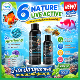 🆕 6NATURE จุลินทรีย์ตู้ปลา Nitrifying + Bacillus รวม 6 สายพันธุ์ น้ำใส ลดกลิ่น ตั้งตู้/บ่อปลา ไม้น้ำ กุ้ง มี 4 ขนาด