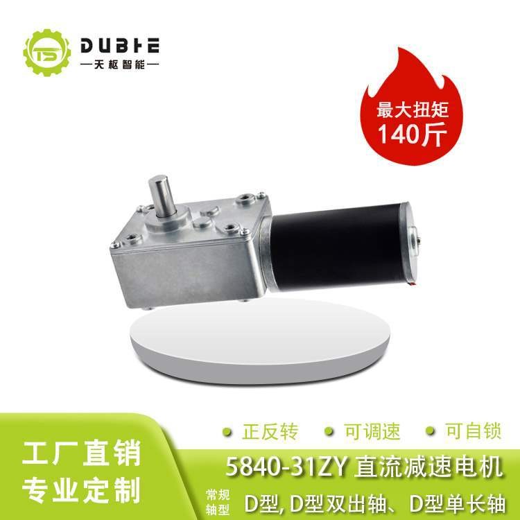 5840-31ZY涡轮蜗杆直流减速电机12v24调速自锁齿轮大扭矩双轴马达