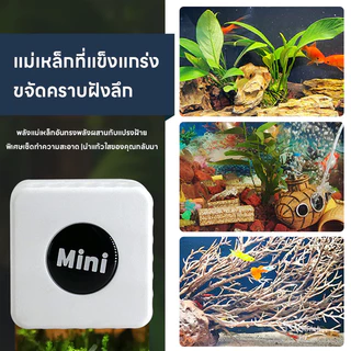 แปรงแม่เหล็ก แปรงทำความสะอาดกระจกแม่เหล็กขนาดเล็ก/อะคริลิกสาหร่ายสำหรับถังปลาและเครื่องมือทำความสะอาดตู้ปลา