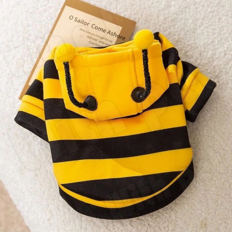 รูปภาพ 6