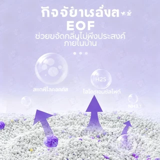 【Pet Record】ทรายแมว 2KG เบนโทไนท์ 6 กลิ่นเป็นตัวเลือก ดูดซับกลิ่นดีเยี่ยม กำจัดกลิ่นไม่พึงประสงค์
