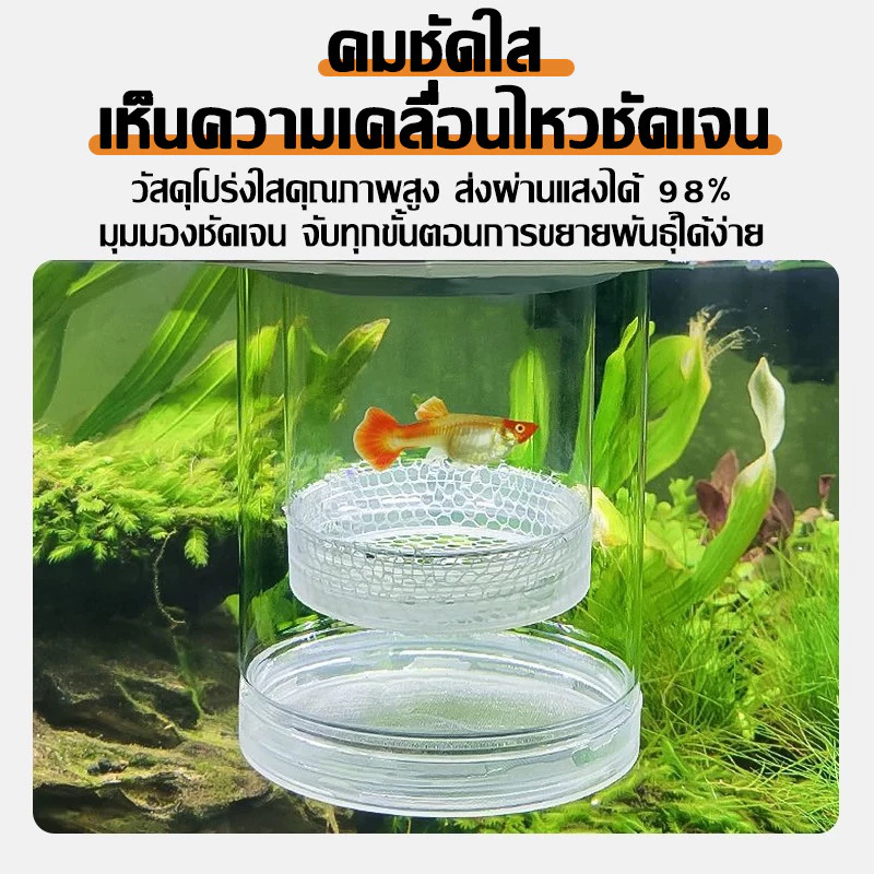 กล่องฟักไข่ปลาลอยได้ ตู้แยกปลาคลอดลูก แยกลูกกุ้ง ปลาป่วย thumbnail 5