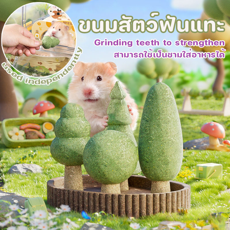 ขนมลับฟัน ผัก ขนมสัตว์ฟันแทะ ลับฟันแฮมสเตอร์ ของเล่นแฮมสเตอร์ สำหรับสัตว์ฟันแทะทุกชนิด
