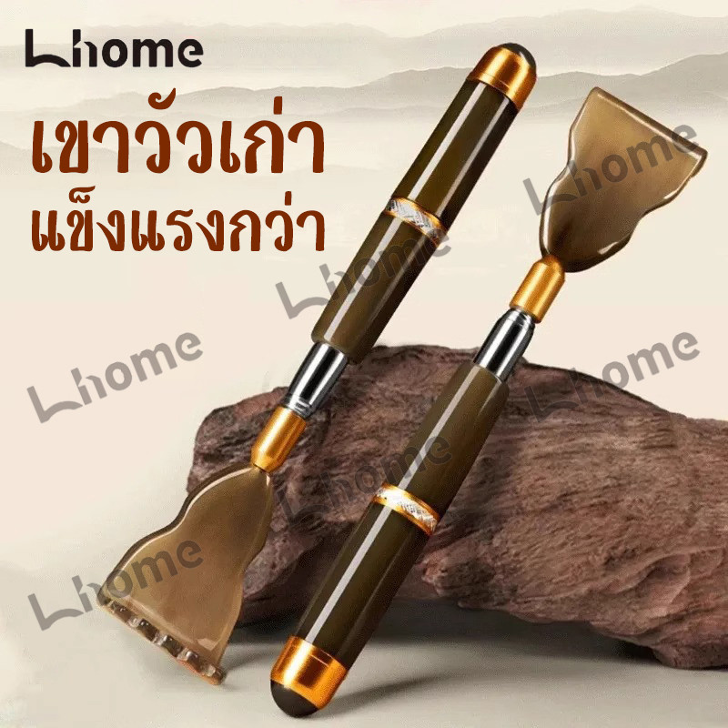 ที่ขัดคันทำจากเขาควาย แบบยืดหดได้ ไม่ต้องขอความช่วยเหลือ ขัดหลังและตัวได้ทั่ว เหมาะขจัดอาการคันบริเวณหลัง
