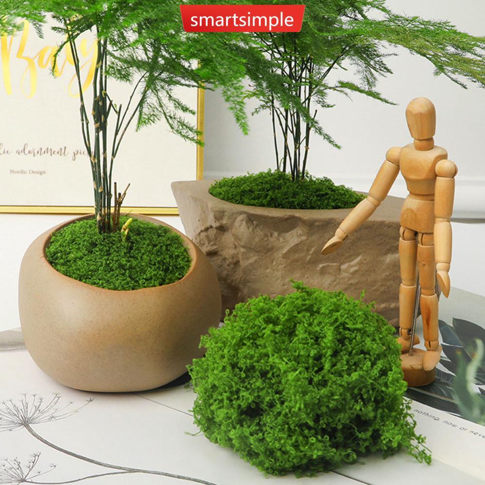 SMARTSIMPLE ประดิษฐ์ Moss แผ่นปลอมหญ้าสีเขียวสําหรับกระถางต้นไม้ตกแต่ง DIY Terrarium Micro ภูมิทัศน์