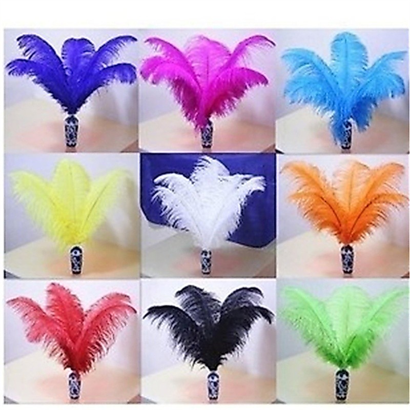 10ชิ้นขายส่ง30-50เซนติเมตรตกแต่งขนนกนกกระจอกเทศ,คู่มือแต่งงาน,อุปกรณ์ประกอบฉากถ่ายภาพ,ตกแต่งห้องนั่งเล่น