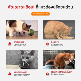 FurryCuddle เจลขับก้อนขนแมว เจลน้ำมันปลาขับขนสำหรับแมว ปริมาณ120g ลดอาการอาเจียน บำรุงผิวและขน ดูแลระบบขับถ่าย COD PF11
