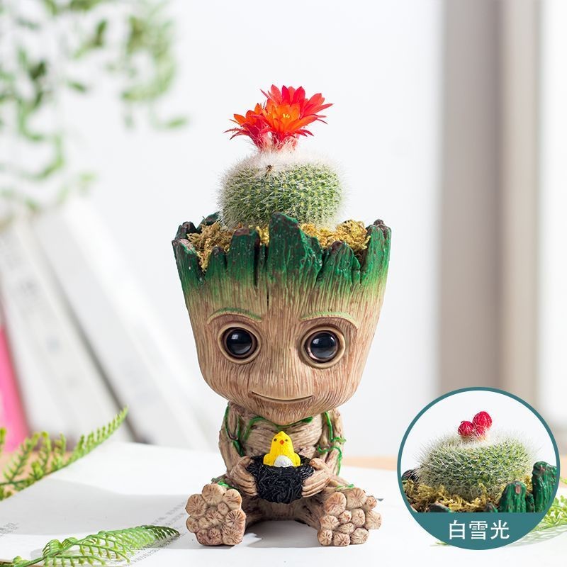 More Cactus Groot Cactus Office Desktop Jewelry Good Raising Green Plant Gifts