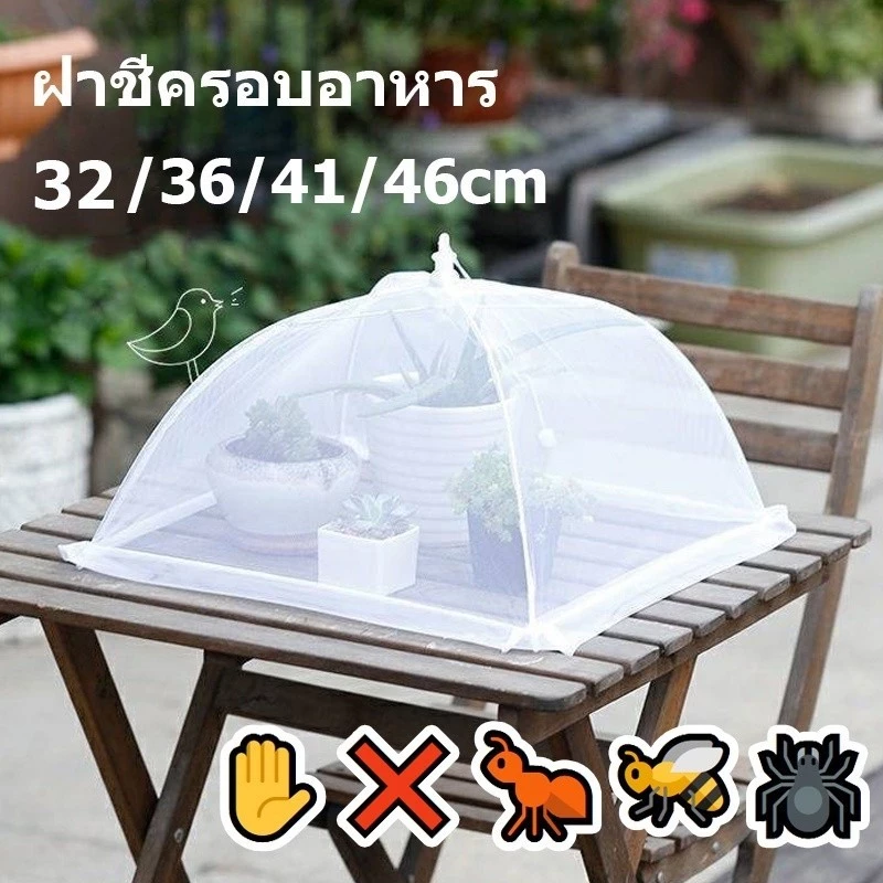 ✋🐜🕷 ฝาชีครอบอาหาร มุ้งครอบอาหาร ช่วยป้องกันแมลง และฝุ่นผงได้ดี เส้นผ่าจุดศูนย์กลาง 32 ซม
