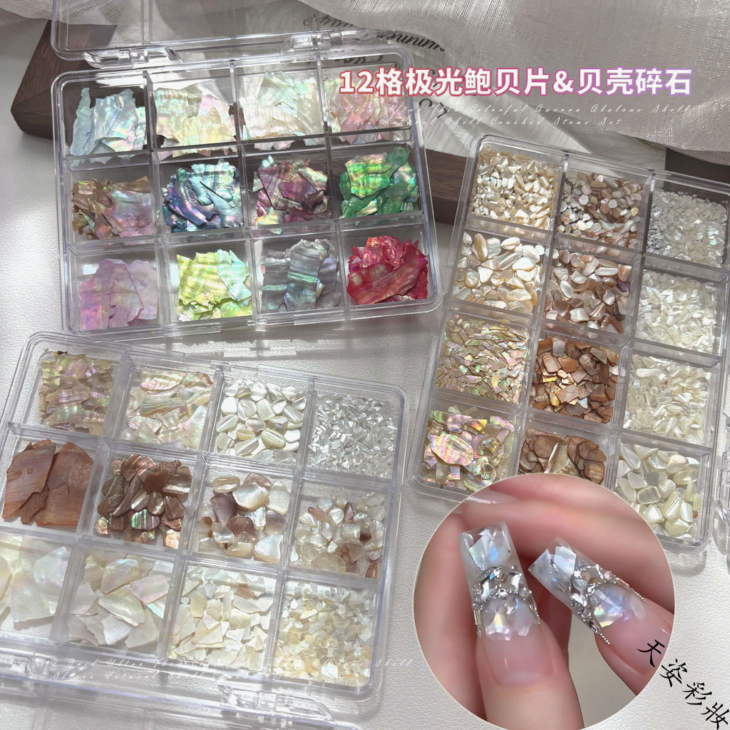 12ช่องอุปกรณ์ตกแต่งเล็บเปลือกหอยมุก เศษเปลือกหอยบางๆ สีสันสดใสจากธรรมชาติ
