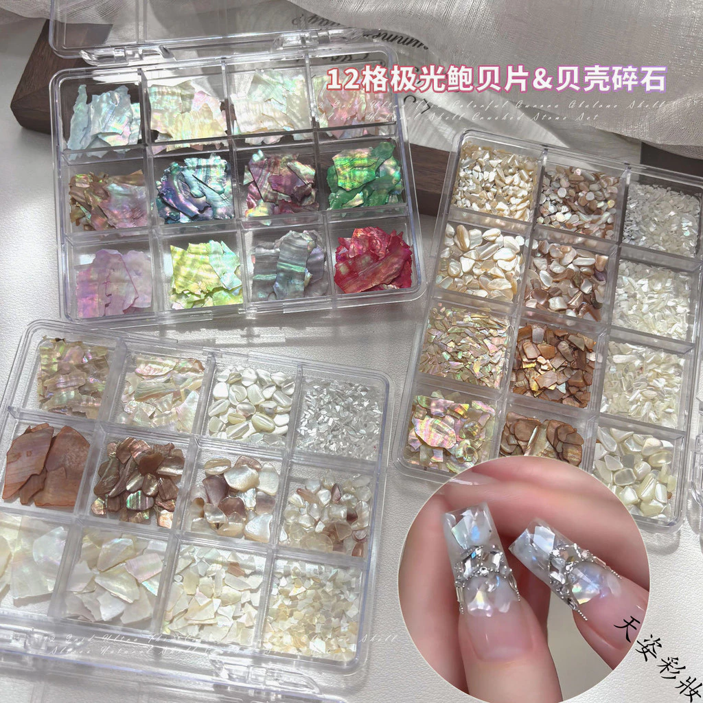 12ช่องอุปกรณ์ตกแต่งเล็บเปลือกหอยมุก เศษเปลือกหอยบางๆ สีสันสดใสจากธรรมชาติ