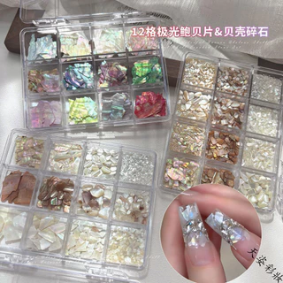 12ช่องอุปกรณ์ตกแต่งเล็บเปลือกหอยมุก เศษเปลือกหอยบางๆ สีสันสดใสจากธรรมชาติ