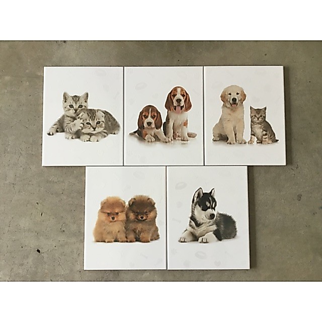 sosuco กระเบื้องเซรามิคลายสุนัขและแมว ขนาด8”x10”