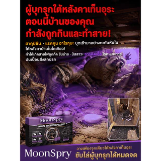 🎯สินค้าขายดี🎯 【กำจัดแมลง/หนู】 ลูกกลมไล่แมลงและสัตว์รบกวน ใช้งานง่าย วัสดุปลอดภัย ใช้ได้ทั้งในบ้านและสวน ประหยัดเวลา เห็นผลไว 🚨พร้อมส่ง🚨