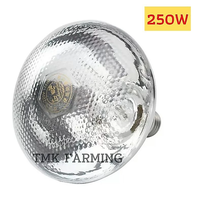 หลอดไฟอินฟาเรด กกสัตว์เลี้ยง 250วัตต์ [ขาวหนาแสงส้ม] แสงสีวอม E27 infrared bulb1
