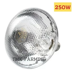 หลอดไฟอินฟาเรด กกสัตว์เลี้ยง 250วัตต์ [ขาวหนาแสงส้ม] แสงสีวอม E27 infrared bulb1