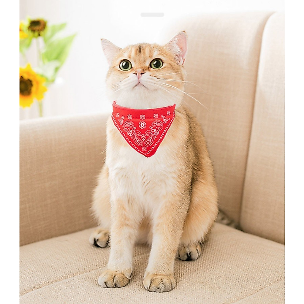 PP-061 ปลอกคอสามเหลี่ยม ผ้าพันคอ สำหรับสุนัข แมว และสัตว์เลี้ยง ราคาประหยัด พร้อมส่งทันที 💕