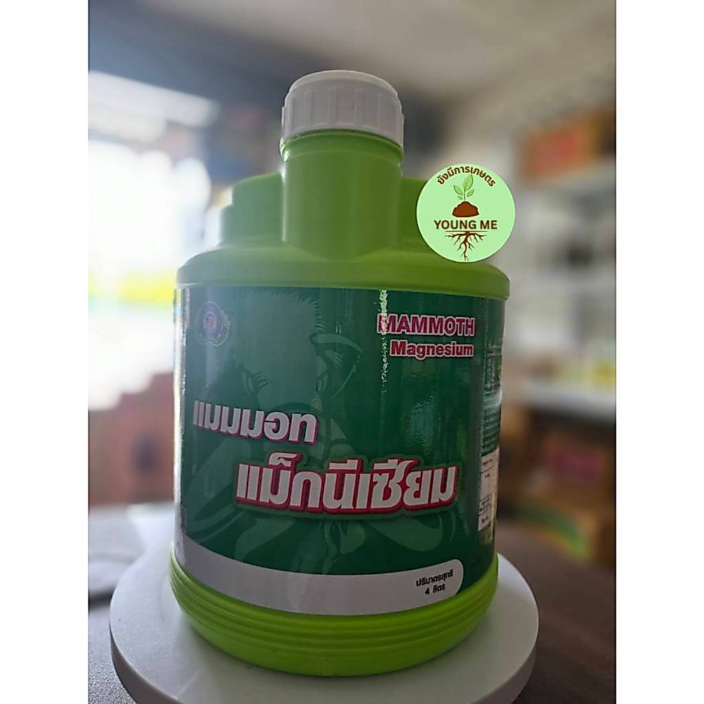 แมมมอท แม็กนีเซียม เทพวัฒนา ธาตุอาหารพืชที่เป็นองค์ประกอบของคลอโรฟิลล์
