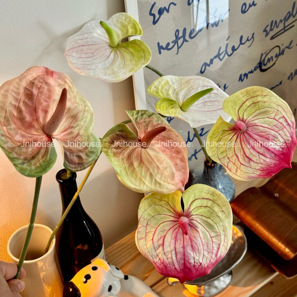 [พร้อมส่ง] Jnihouse : ดอกไม้ประดิษฐ์ ดอกหน้าวัว (Artificial Anthurium Flowers)