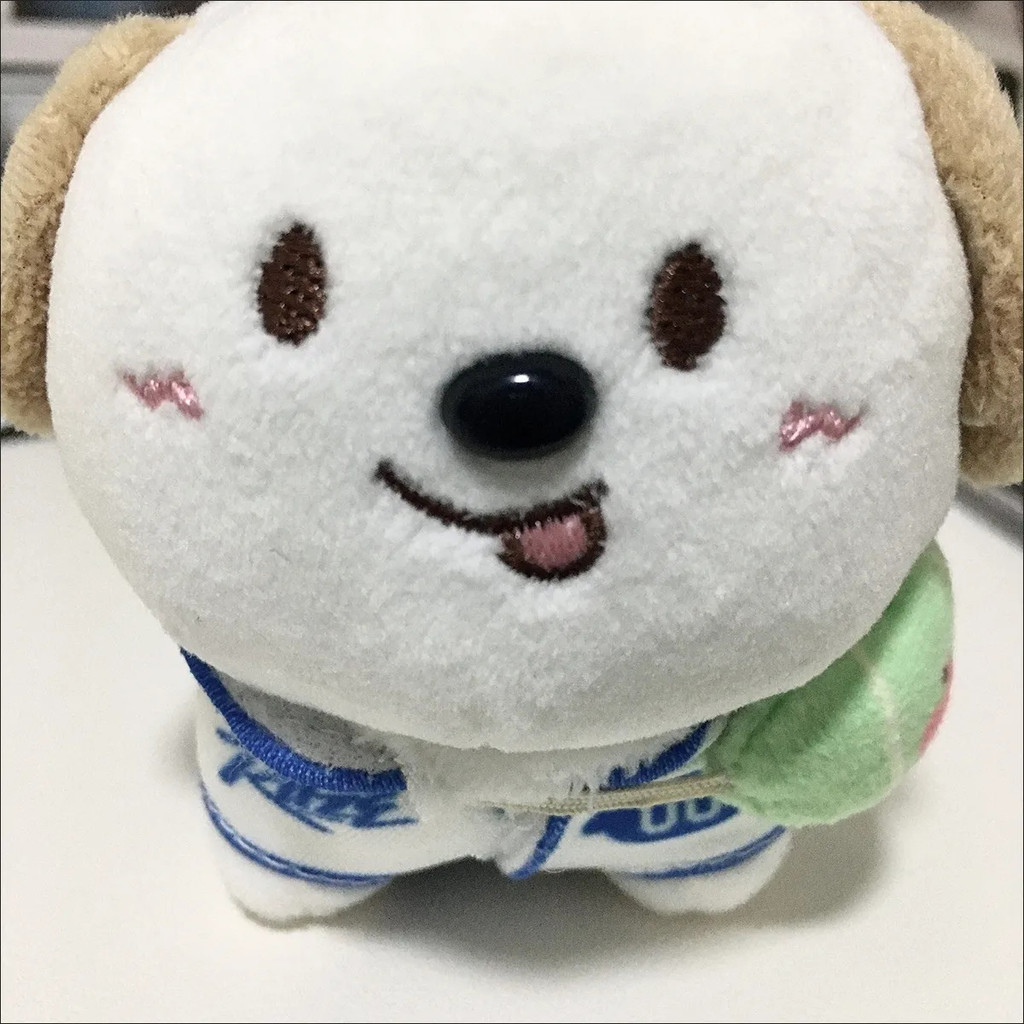 【พร้อมส่ง】ตุ๊กตา riize รูปที่ 6