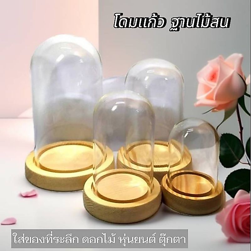โหลเเก้ว ขวดโหลฐานไม้ ครอบกระจก ใส่งานประดิษฐ์ โดมเเก้วใส่โมเดล ของตกเเต่งบ้าน