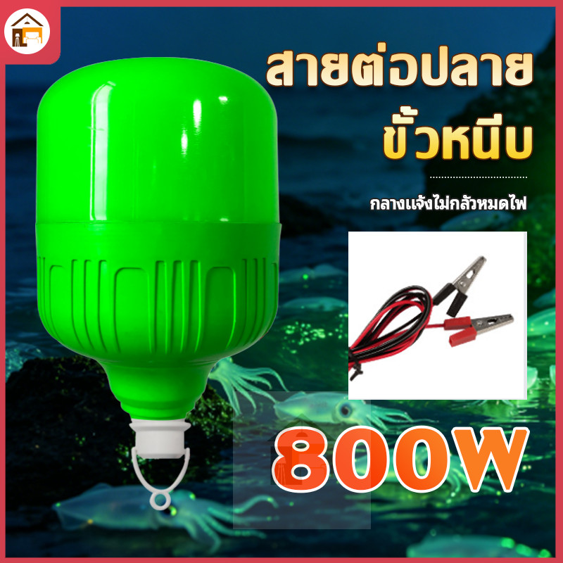 ไฟตกหมึก LED 800W แสงสีเขียว DC12V คีบแบต สว่างสูง ติดตั้งง่าย ใช้ตกปลากลางแจ้ง