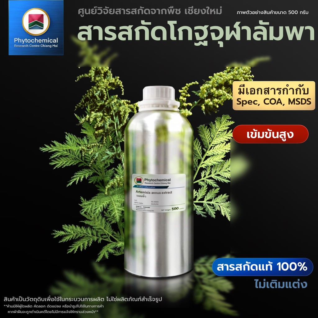 สารสกัดโกฐจุฬาลัมพา(แบบน้ำ) Sweet wormwood extract | สารสกัดจากพืช สารสกัดสมุนไพร 100% | เข้มข้นสูง 25-100 g.