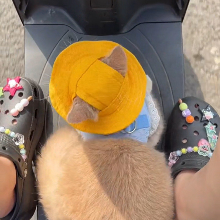 หมวกสัตว์เลี้ยง |     เหมาะสําหรับสุนัขขนาดใหญ่ กลาง และเล็ก |     หมวกกันแดดฤดูร้อนที่สะดวกสบายระบายอากาศได้ - รูปที่ 7