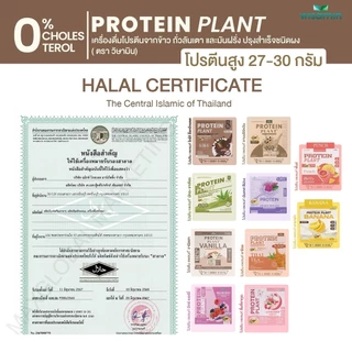 PROTEIN PLANT สูตร 1 โปรตีนแพลนท์ (( มี 10 รสชาติ )) โปรตีนพืชจากข้าว ถั่วลันเตา มันฝรั่ง ขนาด 5 ปอนด์ (2.27 kg./กระปุก)