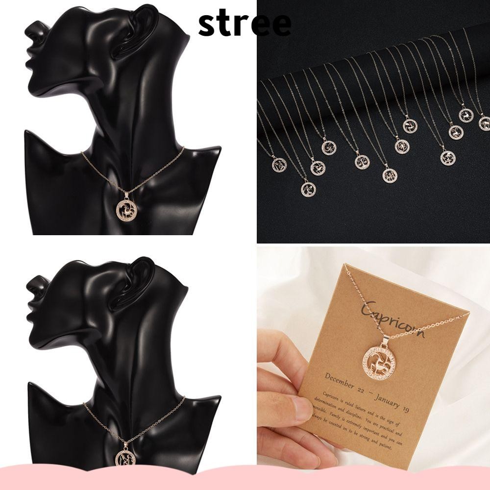 จี้สร้อยคอยาวสำหรับผู้หญิง แบบสร้างสรรค์ สไตล์ Guardian Star อัญมณีว่างสำหรับราศีLeoและTaurus