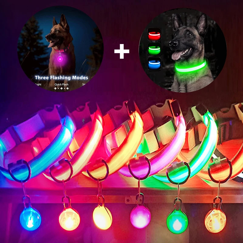ชาร์จ Usb เรืองแสงปลอกคอสุนัขพร้อมจี้ที่ถอดออกได้หรูหราไฟ Led Bright สําหรับสุนัขขนาดเล็ก Cat Night Safety COLLAR ขายส่ง