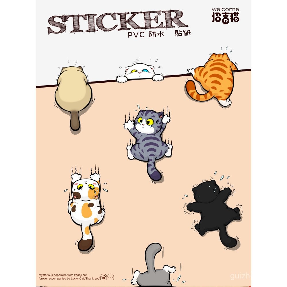 Zhaoji Cat Raccoon ต้นฉบับน่ารักทําด้วยมือ diy สติกเกอร์คอนซีลเลอร์ Meow Star Claw Mark น่ารักตกแต่ง