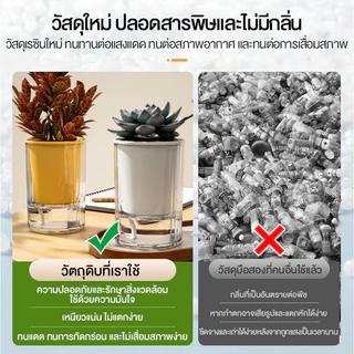 กระถางดอกไม้ไฮโดรโปนิกส์ ดอกไม้หม้ออัตโนมัติ แฟชั่นสมัยใหม่ กระถางดอกไม้ตั้งโต๊ะ ง่ายต่อการบำรุงรักษา