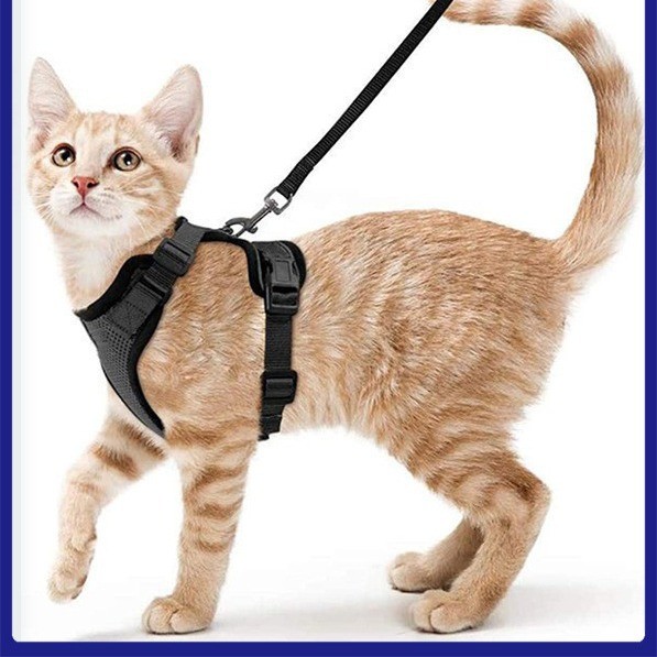 ระบายอากาศสะท้อนแสงหน้าอกกลับป้องกันการแตกหักแมวเดินเชือกจูงแมวสุนัขขนาดเล็ก